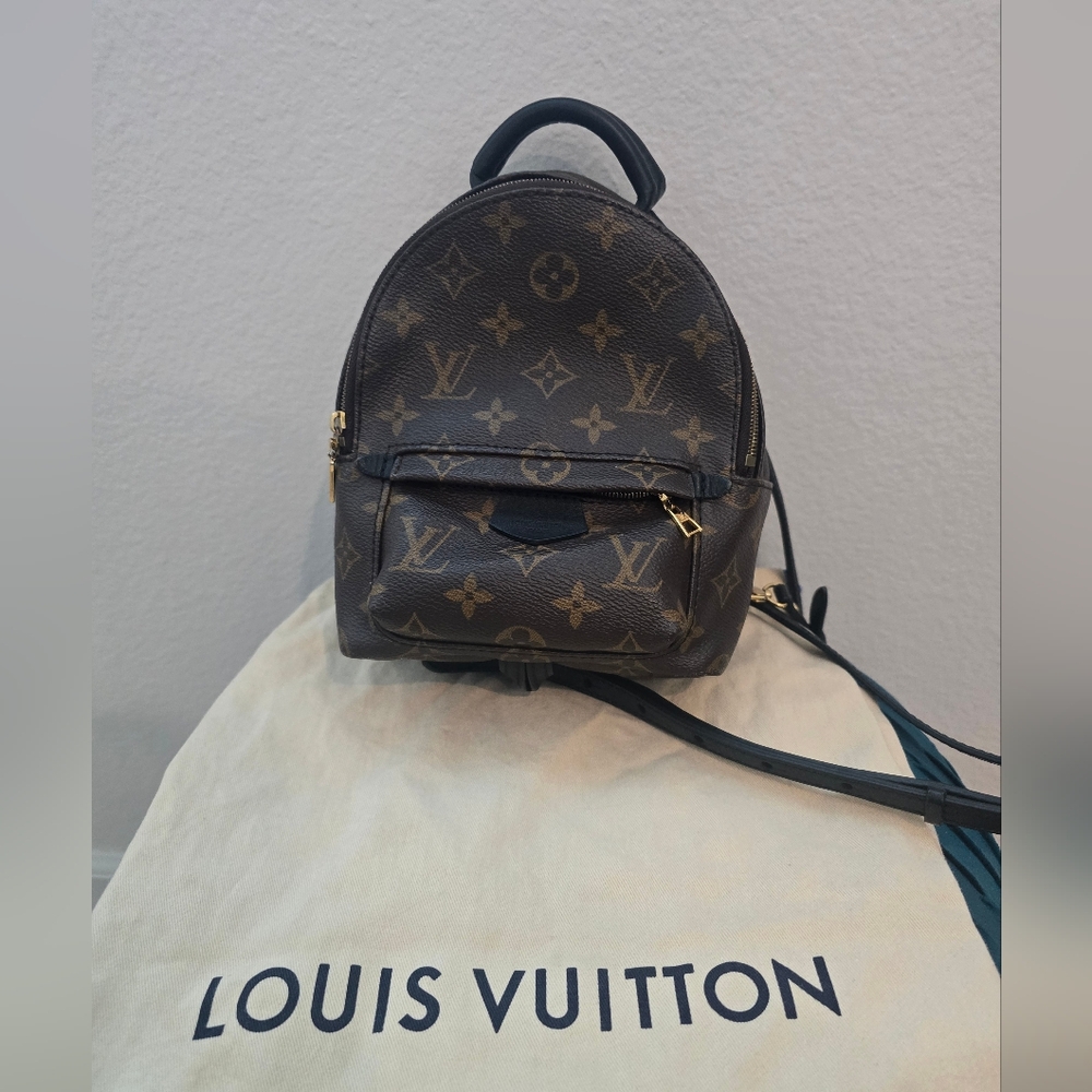Louis Vuitton Brown Monogram Palm Springs Mini Backpack